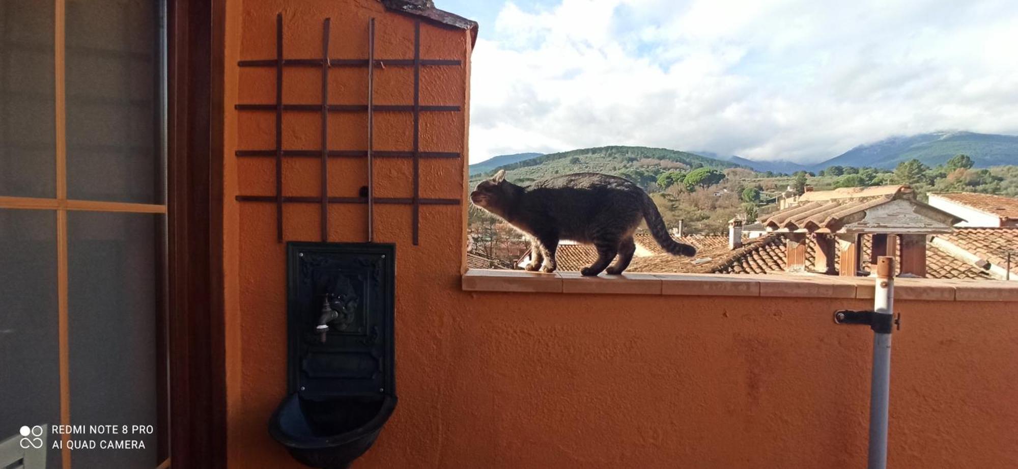 'la Casa De Lola' Casita De Cuento Con Vistas * Arenas de San Pedro
